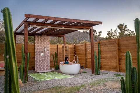 Desert Flora By The Cohost Company House in Joshua Tree