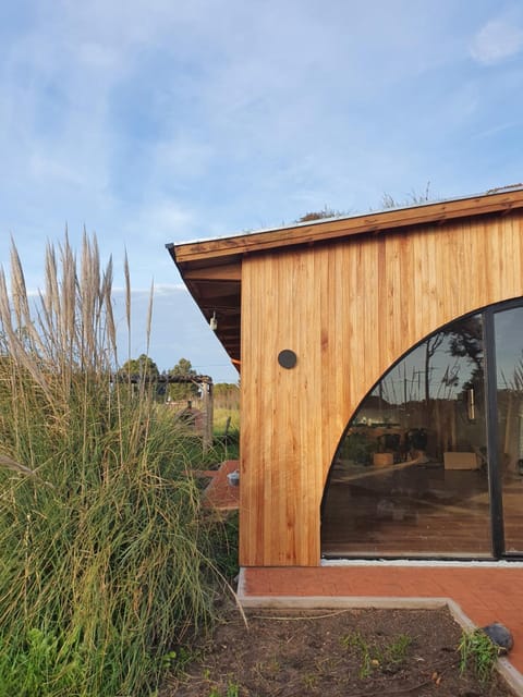 Property building, Garden, Garden view