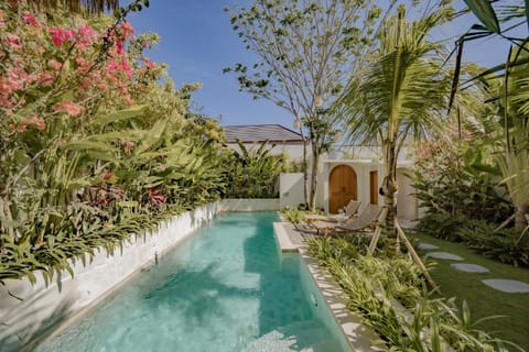 Natural landscape, Garden, Garden view, Pool view, Swimming pool