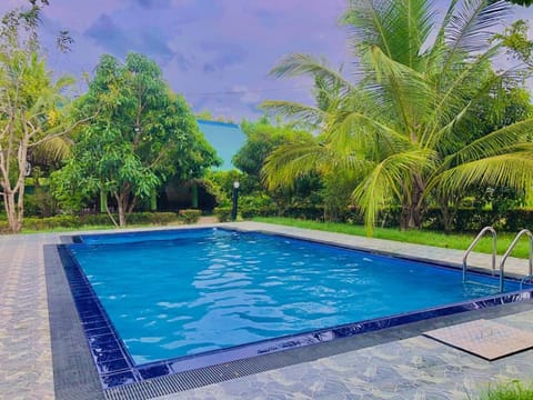Pool view, Swimming pool
