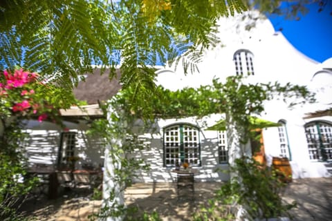 Jacaranda Wine And Guestfarm Farm Stay in Cape Town