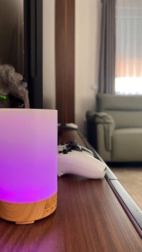 Tradition & Comfort Apartment Apartment in Serbia