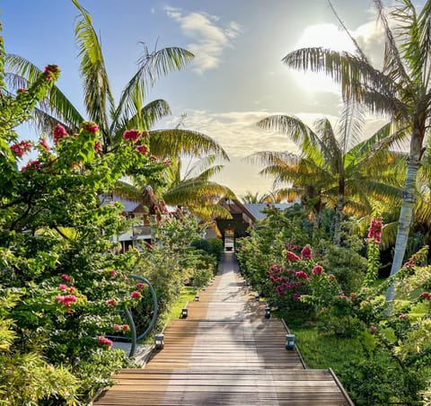 Natural landscape, Garden, Garden view
