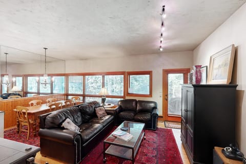 Pitkin Creek Park 1B Apartment in Vail