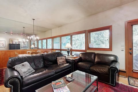 Pitkin Creek Park 1B Apartment in Vail