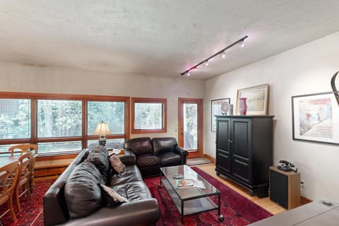 Pitkin Creek Park 1B Apartment in Vail