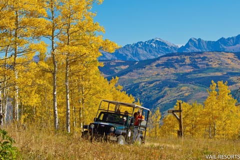 Bridgewater Terrace Getaway Apartment in Avon