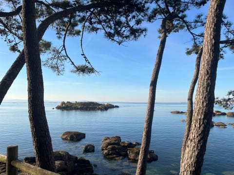 Nearby landmark, Natural landscape