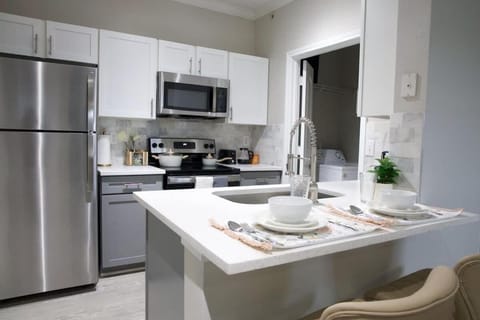 Stylish 1BR Escape Ideal for Business or Leisure Apartment in The Woodlands