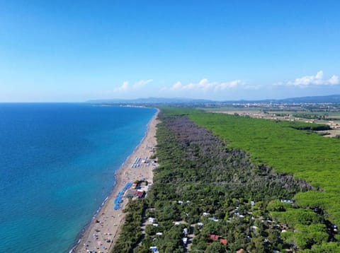 Bird's eye view, Beach
