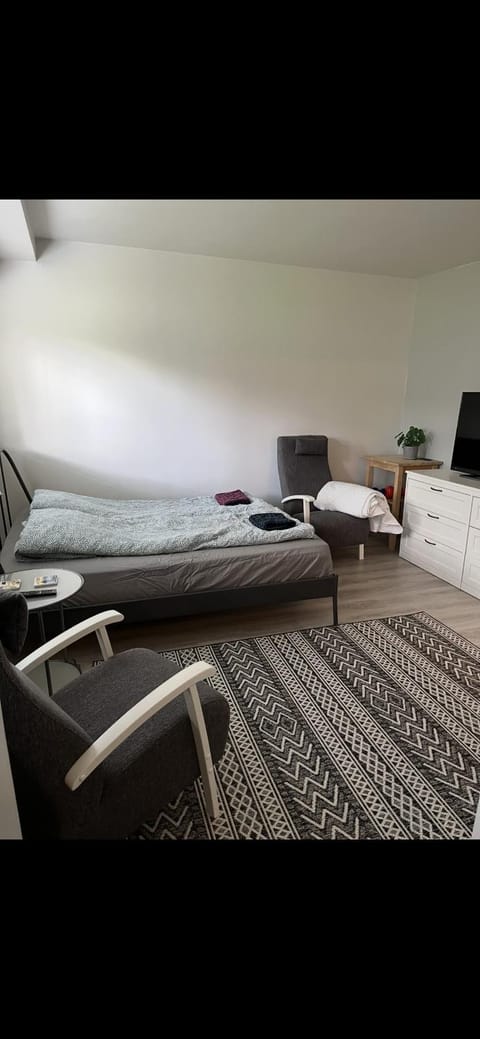 Bed, Living room, Photo of the whole room, Seating area