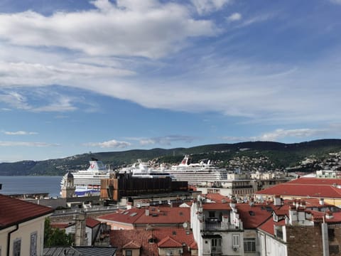 View (from property/room)