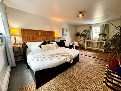 Bed, Photo of the whole room, Seating area, Bedroom, wardrobe