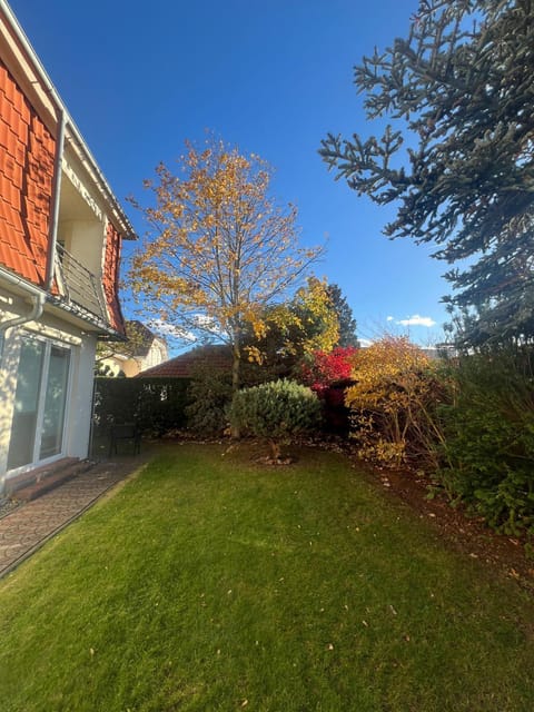 Garden, Garden