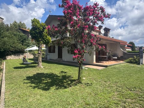 Day, Garden, Garden view