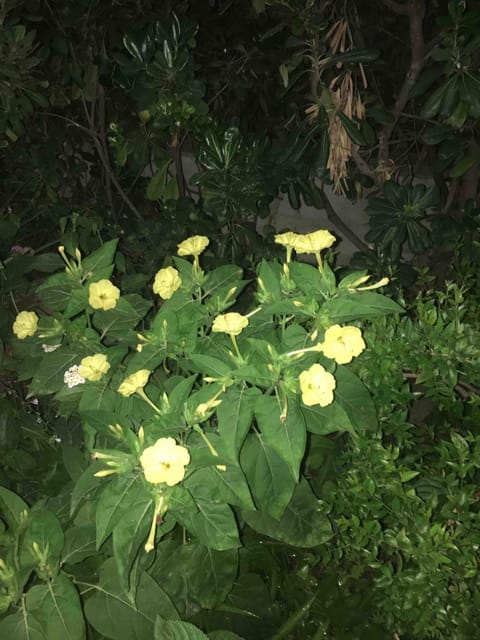 2B Villa, Geremeas - Sardinia 300 mt from the beach House in Geremeas