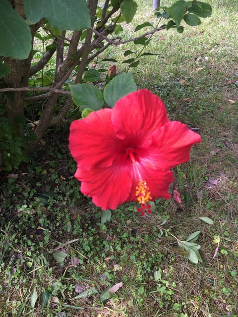 2B Villa, Geremeas - Sardinia 300 mt from the beach House in Geremeas