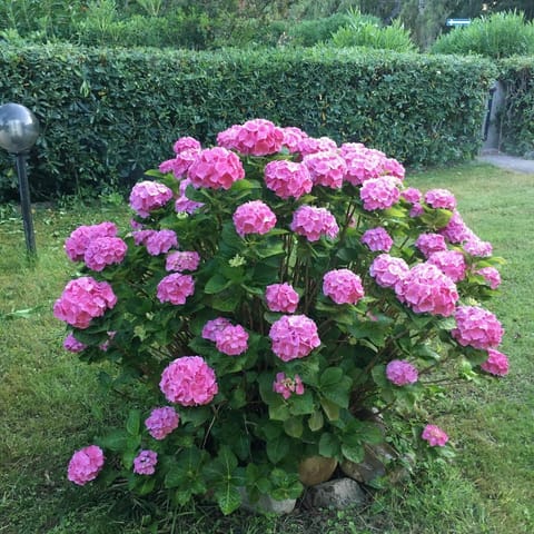 2B Villa, Geremeas - Sardinia 300 mt from the beach House in Geremeas