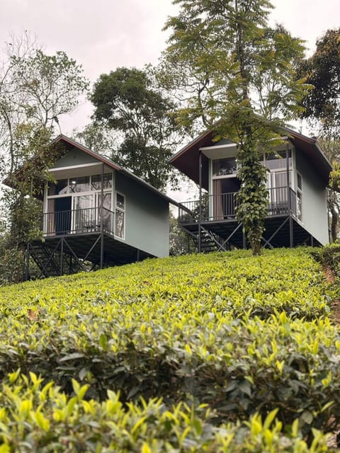 Property building, Natural landscape