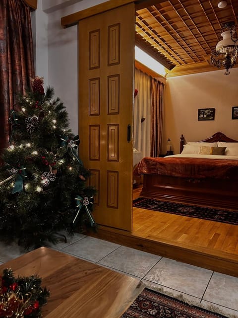 MetsoVillas στο κέντρο του Μετσόβου Apartment in North Macedonia