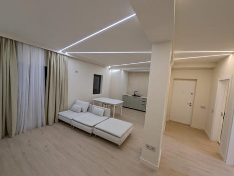 Living room, kitchen