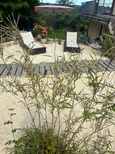 Garden, Garden view