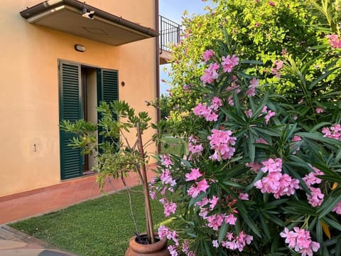 Spring, Garden, Garden view