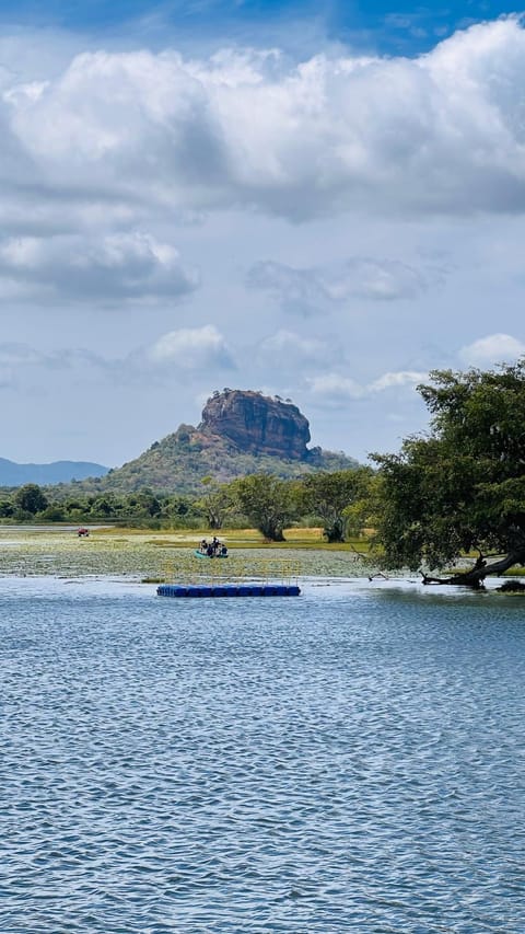 Lake view