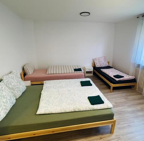 Family & Friends Residence Bed and Breakfast in Koblenz