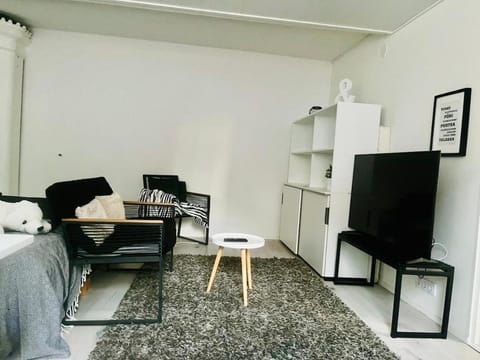 Bright and spacious premise in Turku, Portsa Apartment in Turku