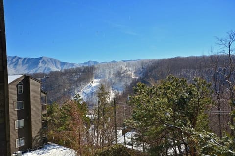 Higher Altitude Apartment in Gatlinburg