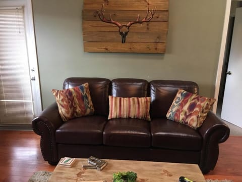 Higher Altitude Apartment in Gatlinburg