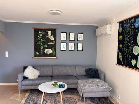 Living room, Seating area, air conditioner
