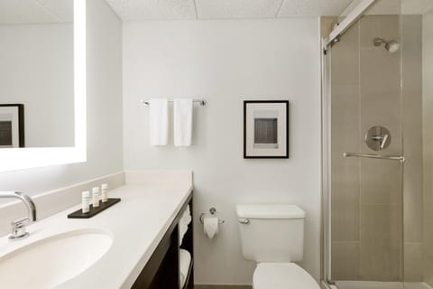 Modern Two-Room Suite with Gym and Pool Apartment in Boca Raton