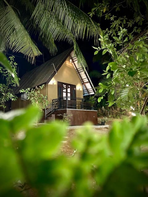 Property building, Night, Garden view