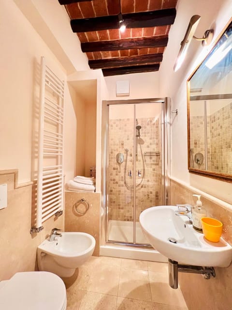 Shower, Toilet, Bathroom, bidet