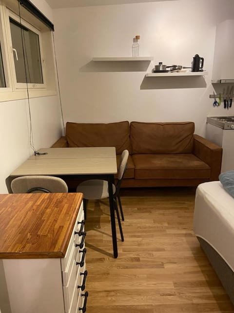 Either a large or a small apartment Apartment in Tromso