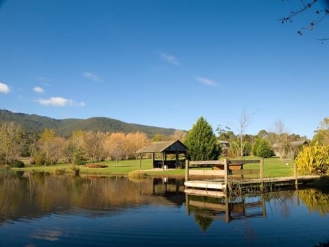 Garden, Lake view