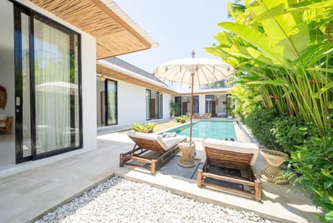 Patio, Day, Swimming pool, sunbed