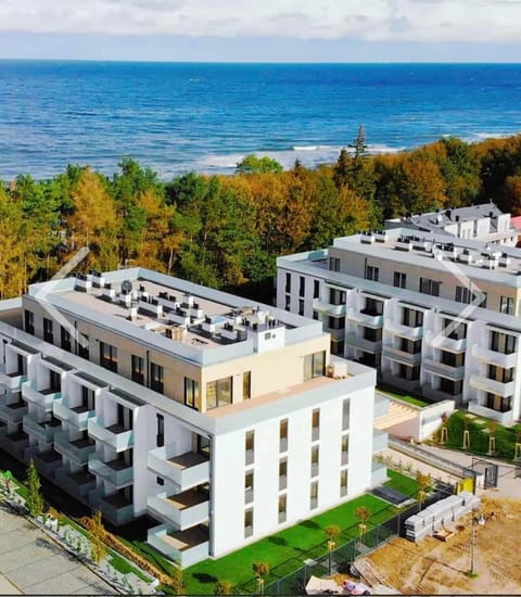 Property building, Bird's eye view