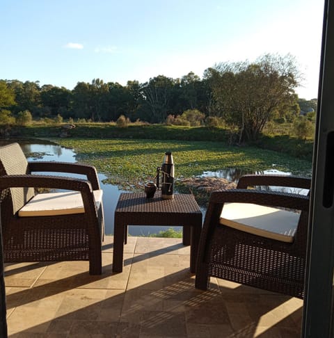 Lake view