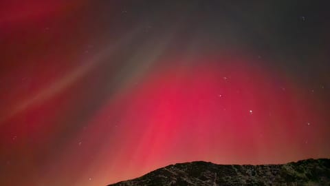 Idylliske Sigerfjorden Vacation rental in Nordland, Norway