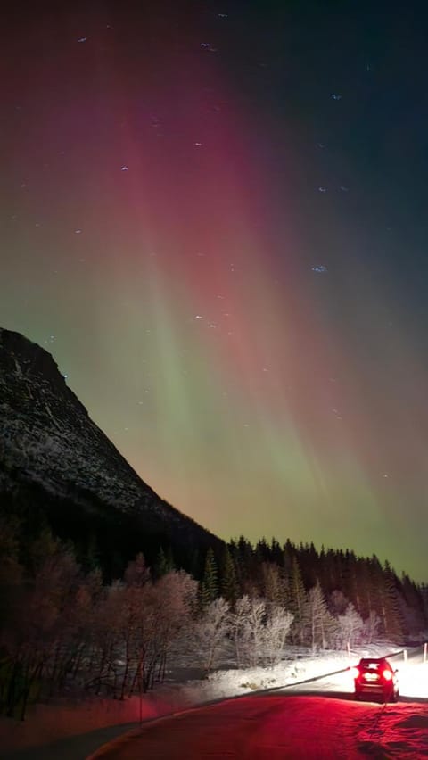 Idylliske Sigerfjorden Vacation rental in Nordland, Norway