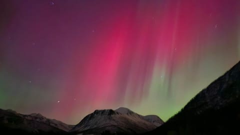 Idylliske Sigerfjorden Vacation rental in Nordland, Norway