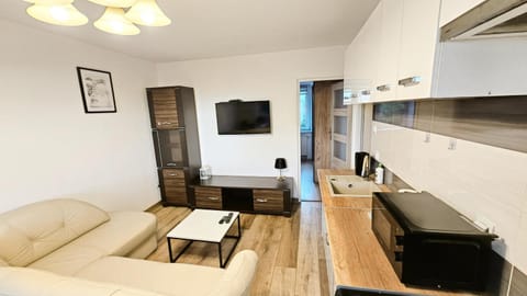TV and multimedia, Kitchen or kitchenette, Living room, Seating area