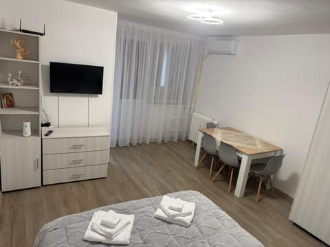 Studio Craiova Apartment in Craiova