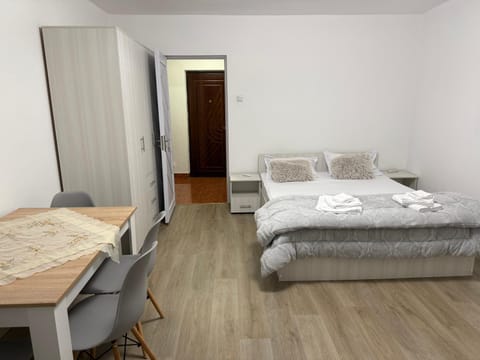 Studio Craiova Apartment in Craiova