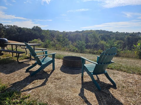 Natural landscape, Dining area, fireplace