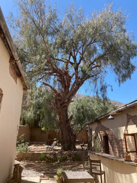 Patio, Garden view, Inner courtyard view