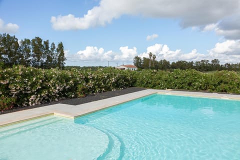 Day, Garden, Garden view, Pool view, Swimming pool, Swimming pool